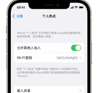 郭河镇apple服务站点分享iPhone上个人热点丢失了怎么办