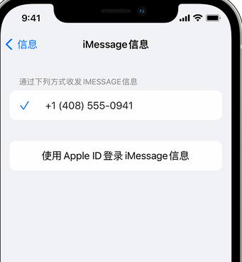 郭河镇apple维修iPhone上无法正常发送iMessage信息 