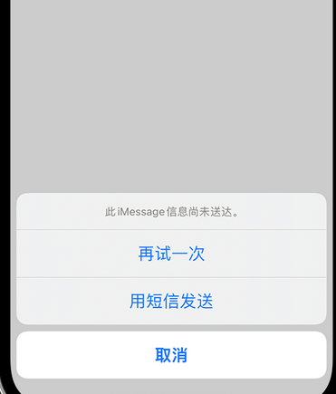 郭河镇apple维修iPhone上无法正常发送iMessage信息