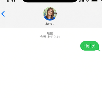 郭河镇apple维修iPhone上无法正常发送iMessage信息