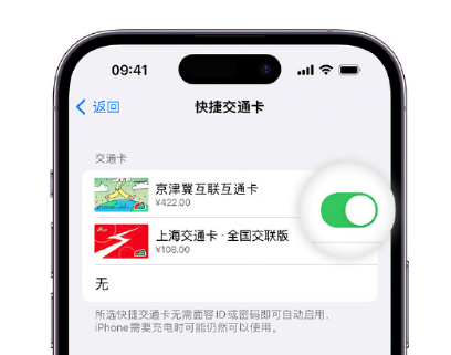 郭河镇apple维修点分享iPhone上更换Apple Pay快捷交通卡手绘卡面 