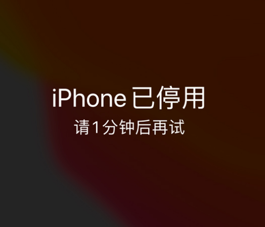 郭河镇苹果手机维修分享:iPhone 显示“不可用”或“已停用”怎么办？还能保留数据吗？ 