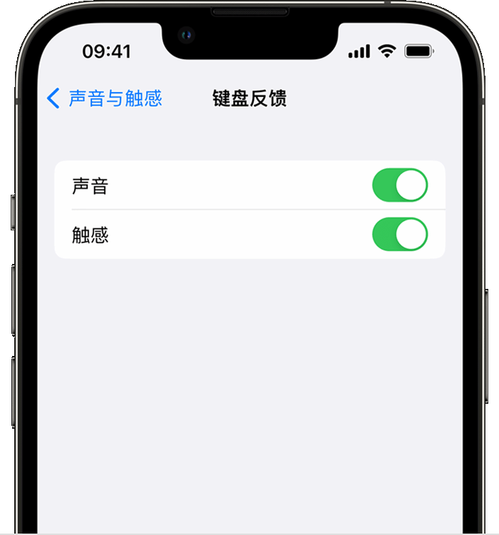 郭河镇苹果14维修店分享如何在 iPhone 14 机型中使用触感键盘 