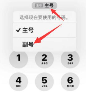 郭河镇苹果14维修店分享iPhone 14 Pro Max使用副卡打电话的方法 