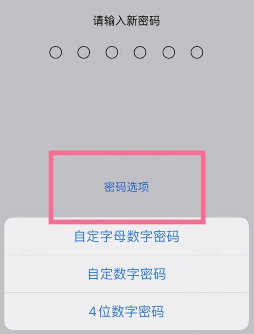 郭河镇苹果14维修分享iPhone 14plus设置密码的方法 