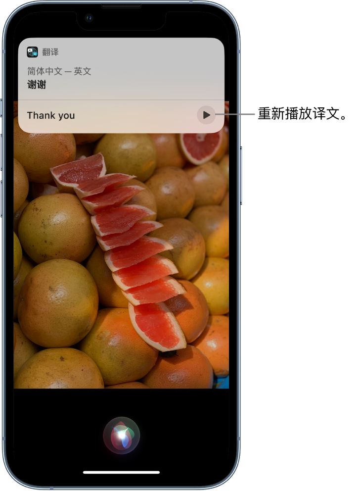 郭河镇苹果14维修分享 iPhone 14 机型中使用 Siri：了解 Siri 能帮你做什么 