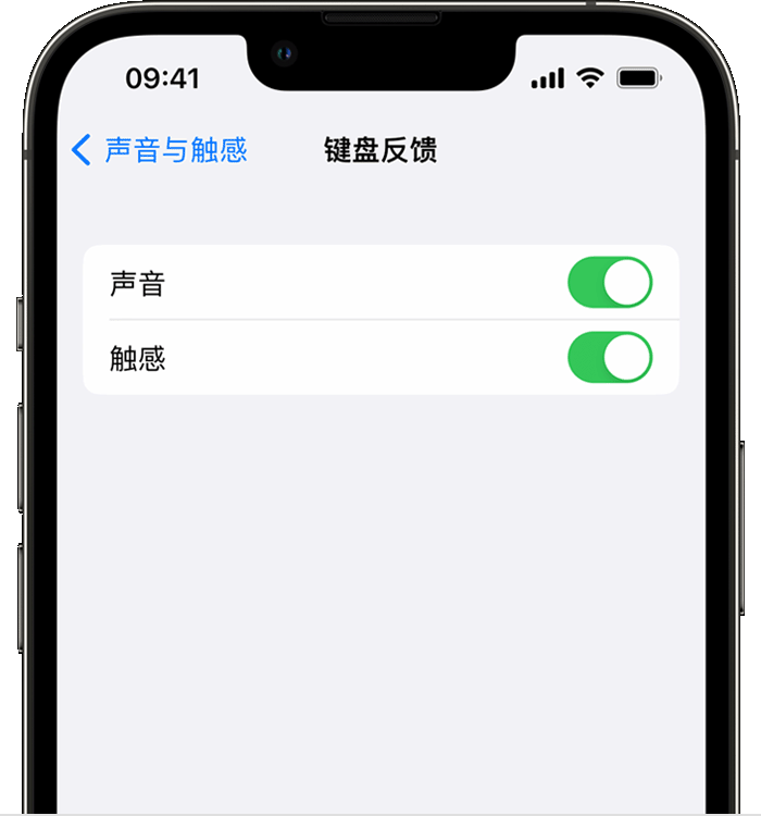 郭河镇苹果14维修分享iPhone 14 系列机型如何开启键盘声音或触感反馈 