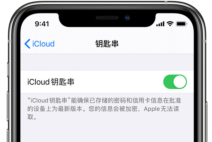 郭河镇苹果手机维修分享在 iPhone 上开启 iCloud 钥匙串之后会储存哪些信息 