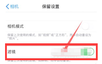 郭河镇苹果13维修分享iPhone13拍照有绿点是怎么回事 
