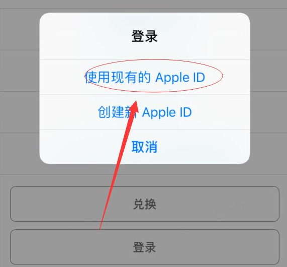 郭河镇苹果手机维修分享两台iPhone设备可以同时登录一个Apple ID吗 