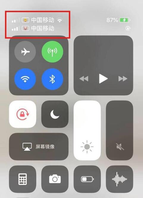 郭河镇苹果手机维修分享为 iPhone 12 双卡设置标签 