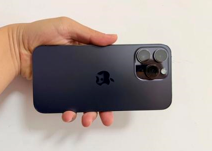 郭河镇苹果维修点分享iPhone 14 Pro Max黑屏少见故障盘点 